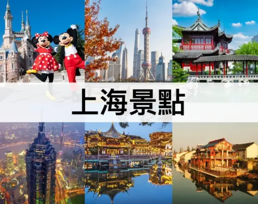 白茶新茶老茶哪个好？三年陈化差距大到你想不到